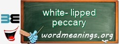 WordMeaning blackboard for white-lipped peccary